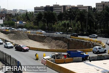  سبز زندگی، پلی برای رویش حیات در پایتخت