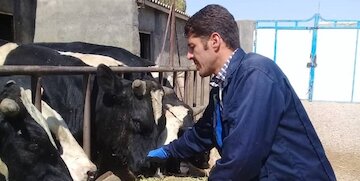 152 پروژه در بخش کشاورزی هرمزگان به بهره برداری می‌رسد