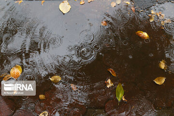 باران و باد شدید موقت در همه استان‌ها به‌جز هرمزگان و بوشهر