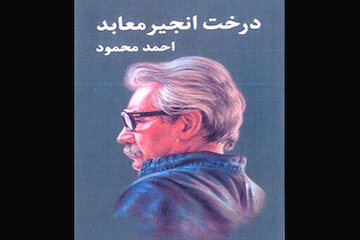 «درخت انجیر معابد» به چاپ چهاردهم رسید