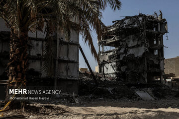 (ویدیو) سارق خیابان استاد معین کیست و درآمدش چقدر است؟!